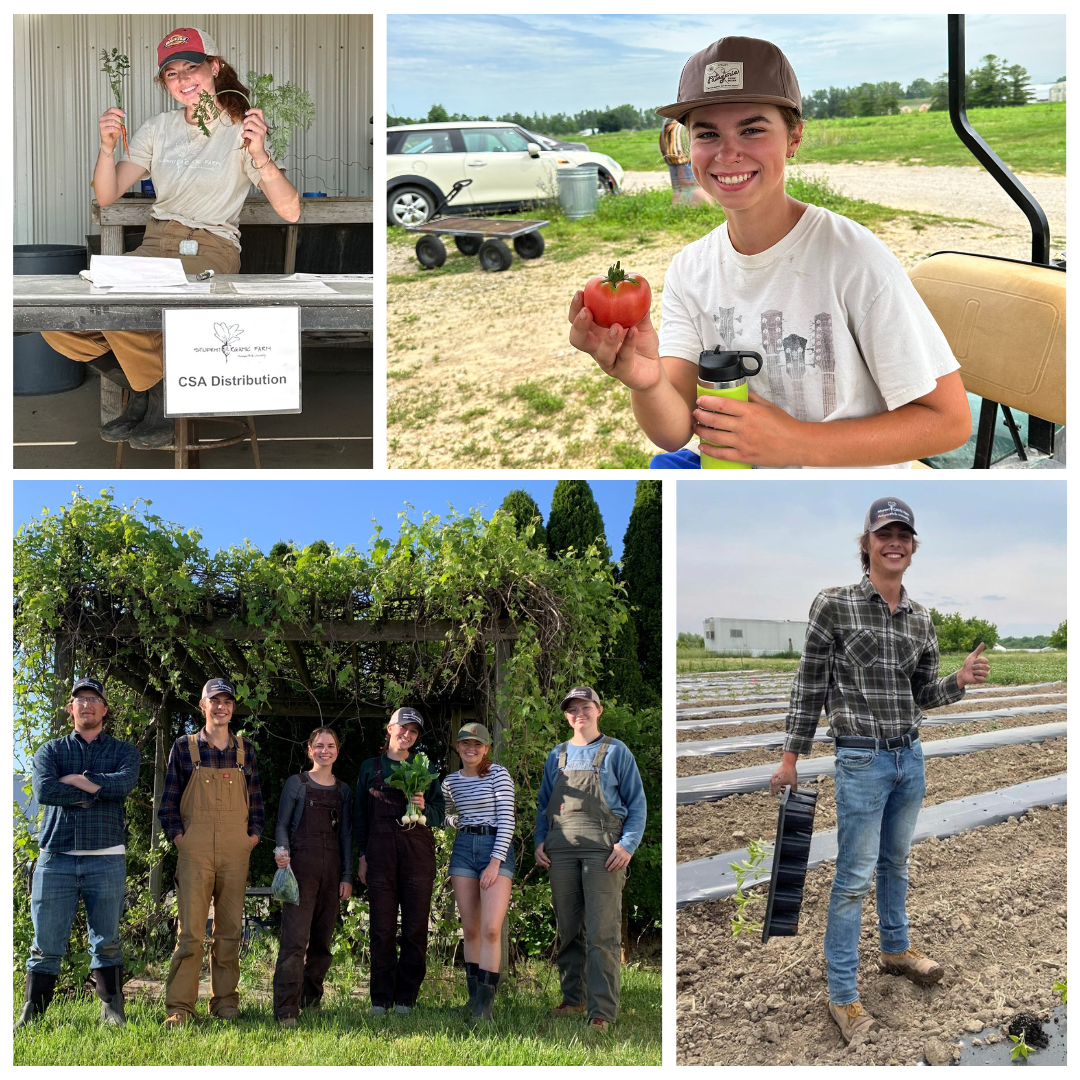Collage of 4 photos featuring student farmers holding produce