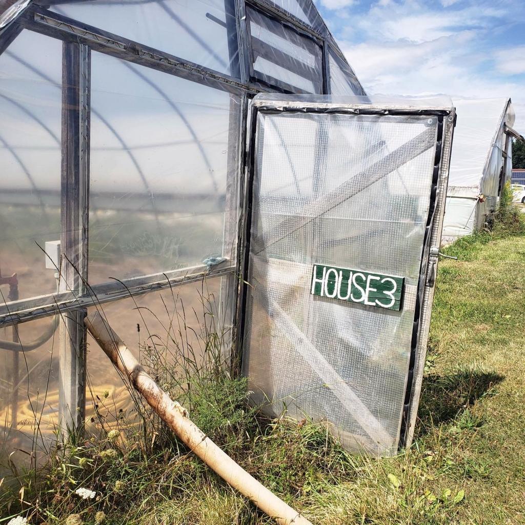 Front door of greenhouse 3 at the Student Organic Farm